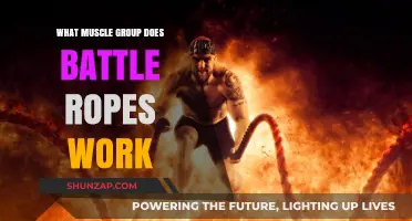 Battle Ropes Workout: Targeting Full-Body Muscle Groups Effectively