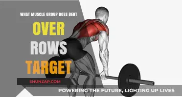 Bent Over Rows: Targeted Muscle Groups and Benefits Explained