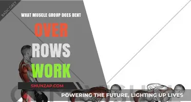 Bent Over Rows: Targeting Back, Shoulders, and Core Muscles Effectively