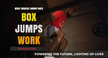 Box Jumps: Targeting Explosive Lower Body Muscles for Power and Strength