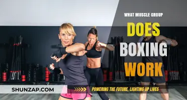 Boxing's Full-Body Benefits: Targeted Muscle Groups and Workout Impact
