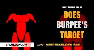 Burpees: Full-Body Workout Targeting Multiple Muscle Groups Effectively