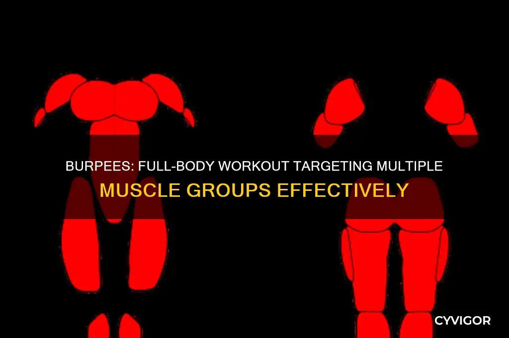what muscle group does burpee