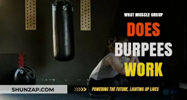 Burpees: A Full-Body Workout Targeting Multiple Muscle Groups Explained