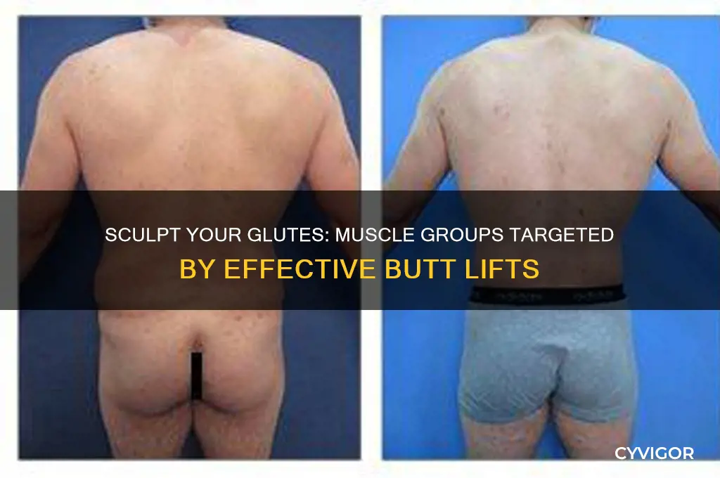 what muscle group does buttlifts target