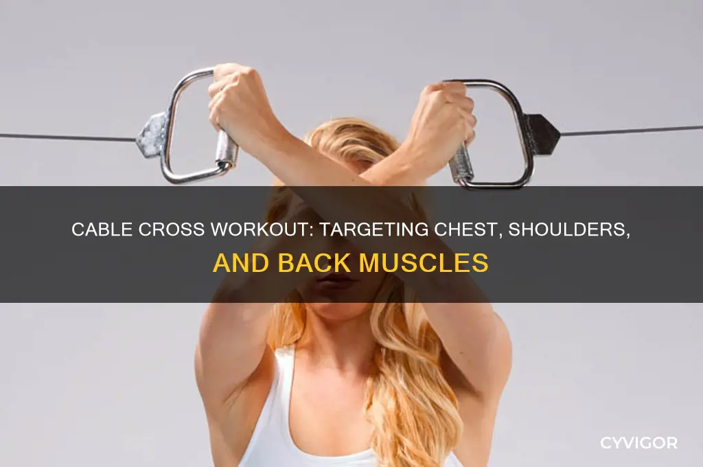 what muscle group does cable cross work