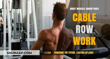 Cable Row Benefits: Targeted Muscle Groups and Workout Tips