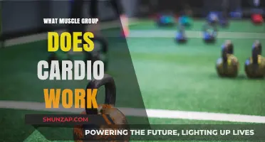 Cardio's Muscle Impact: Unveiling the Targeted Muscle Groups in Cardio Workouts