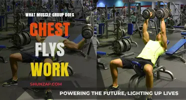 Chest Flys: Targeting Muscles for Strength and Definition