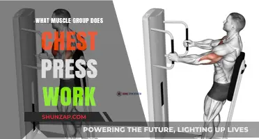 Chest Press Workout: Targeting Muscles for Strength and Definition