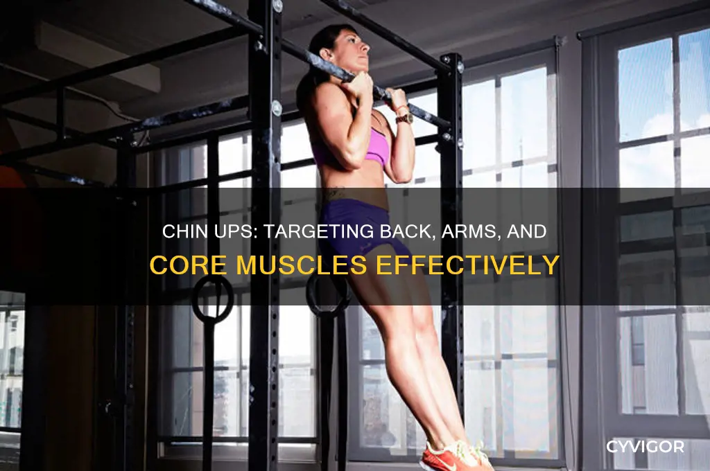 what muscle group does chin ups work