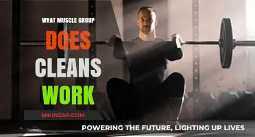Cleans Workout: Targeting Muscle Groups for Strength and Power