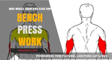 Close Grip Bench Press: Targeting Triceps, Chest, and Shoulder Muscles