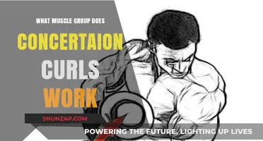 Concentration Curls: Targeting Biceps for Strength and Definition