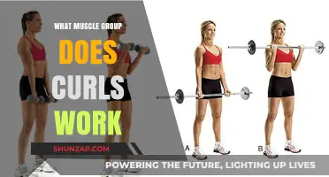 Curls Targeted Muscles: Unlocking Arm Strength and Definition