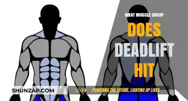 Deadlift Muscle Breakdown: Targeted Groups and Full-Body Benefits Explained