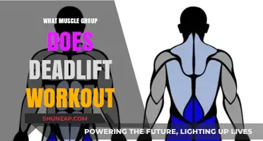 Deadlift Workout: Targeting Muscle Groups for Strength and Power