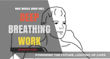 Deep Breathing Benefits: Targeting Core Muscles for Strength and Relaxation