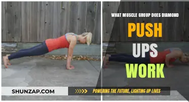 Diamond Push-Ups: Targeted Muscle Groups and Benefits Explained