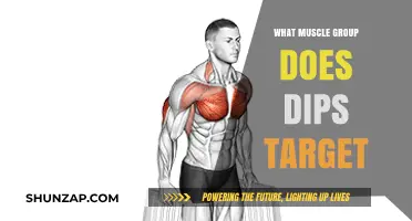 Dips Workout: Targeting Triceps, Chest, and Shoulder Muscles Effectively