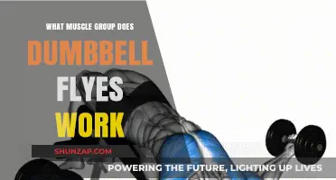 Dumbbell Flyes: Targeting Chest Muscles for Strength and Definition