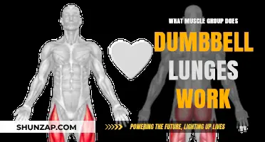 Dumbbell Lunges: Targeting Key Muscle Groups for Strength and Stability