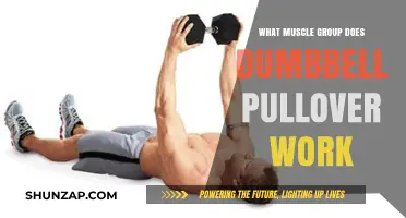 Dumbbell Pullover: Targeted Muscle Groups and Workout Benefits Explained