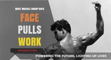 Face Pulls: Targeting Rear Deltoids, Upper Back, and Rotator Cuffs