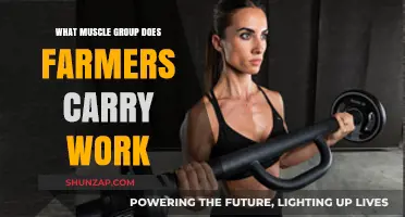 Farmers Carry Workout: Targeting Full-Body Muscle Groups Effectively