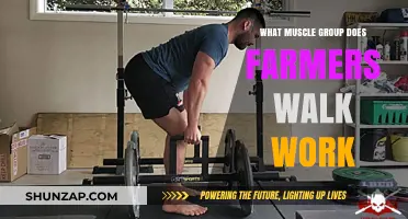 Farmers Walk: Targeted Muscle Groups and Full-Body Benefits Explained