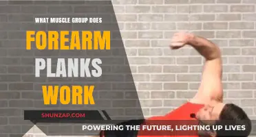 Forearm Planks: Targeted Muscle Groups and Core Strength Benefits