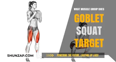 Goblet Squat Benefits: Key Muscle Groups Targeted and Strengthened