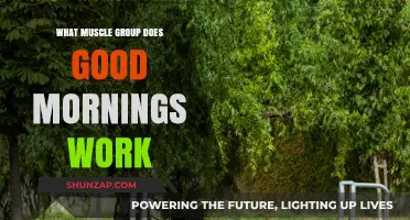 Good Mornings: Targeting Hamstrings, Glutes, and Lower Back Muscles