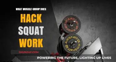 Hack Squat Benefits: Targeted Muscle Groups and Effective Workout Tips
