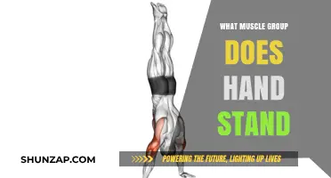 Handstand Muscle Engagement: Core, Shoulders, and Upper Body Strength Explained
