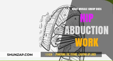 Hip Abduction: Targeting Glutes, Hips, and Outer Thigh Muscles