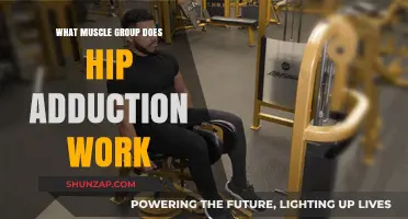 Hip Adduction: Targeting Inner Thigh Muscles for Strength and Stability