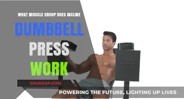 Incline Dumbbell Press: Targeting Upper Chest and Shoulder Muscles