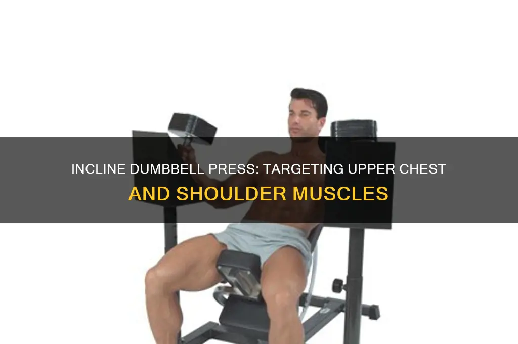 what muscle group does incline dumbbell press work