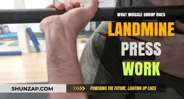 Landmine Press: Targeted Muscle Groups and Effective Training Benefits