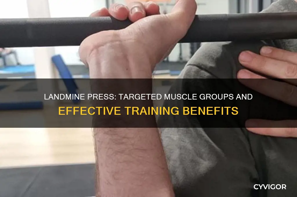 what muscle group does landmine press work