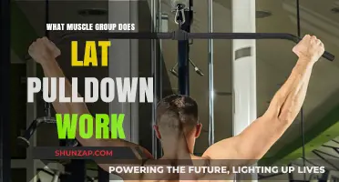 Lat Pulldown Muscles: Targeted Back, Arm, and Shoulder Workout Explained