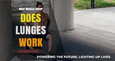 Lunges: Targeting Quads, Glutes, Hamstrings, and Core Muscles Effectively