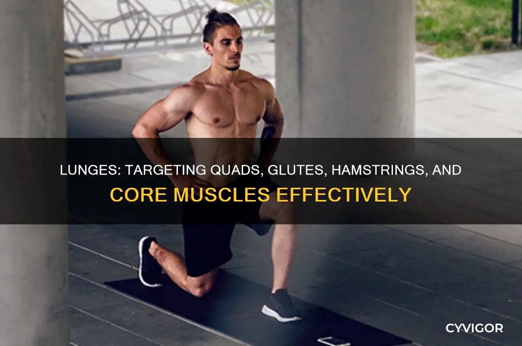 what muscle group does lunges work