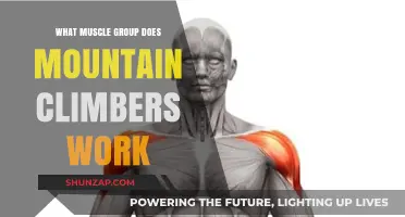 Mountain Climbers: Targeted Muscle Groups and Full-Body Benefits Explained