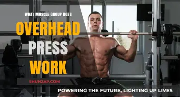 Overhead Press: Targeting Shoulders, Triceps, and Core Muscles Effectively