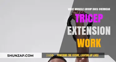 Overhead Tricep Extension: Targeted Muscle Groups and Benefits Explained