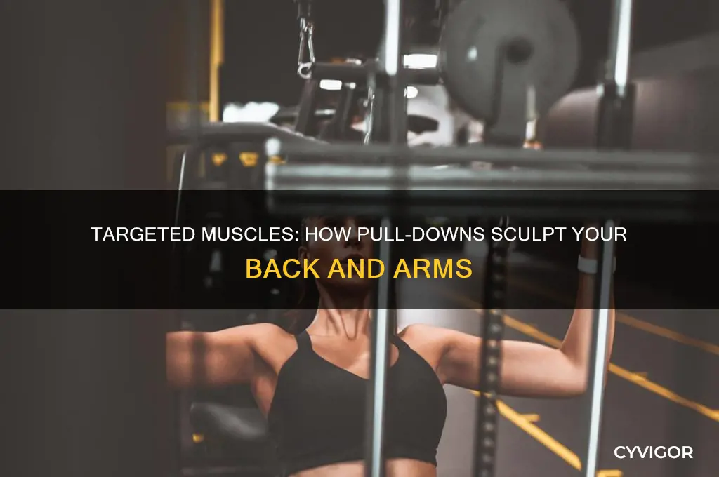 what muscle group does pull downs work