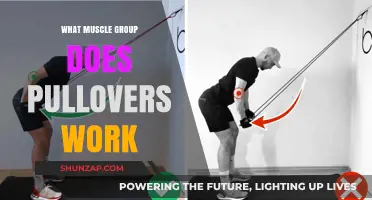 Pullovers Target: Unlocking the Key Muscle Groups for Strength and Flexibility