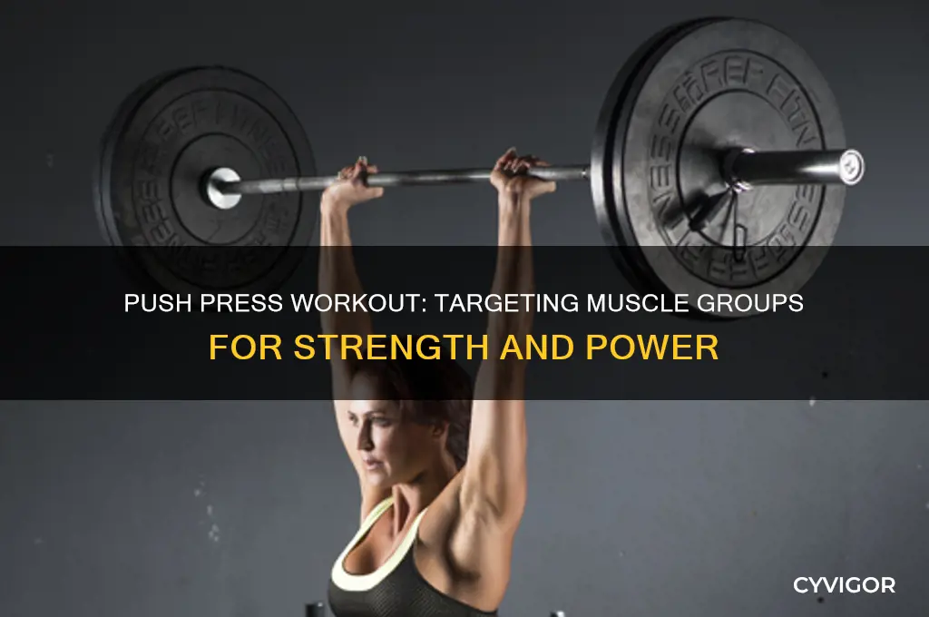 what muscle group does push press work